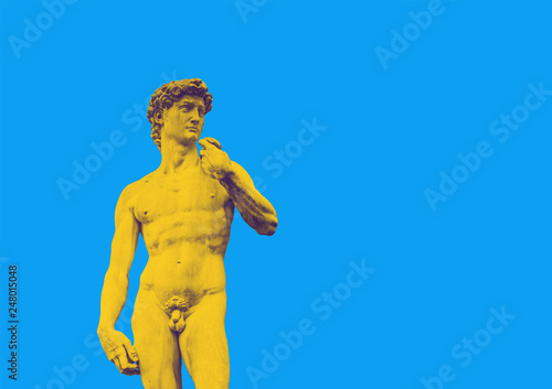 The famous statue of Michelangelo's David in Florence