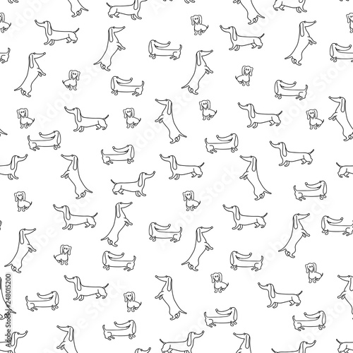 Seamless pattern with funny dachshunds.