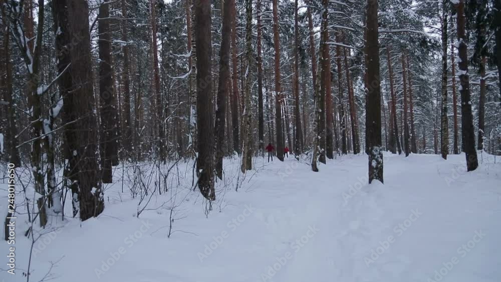 men skiing are competing along the path in the winter park men skiing are competing along the path in the winter park