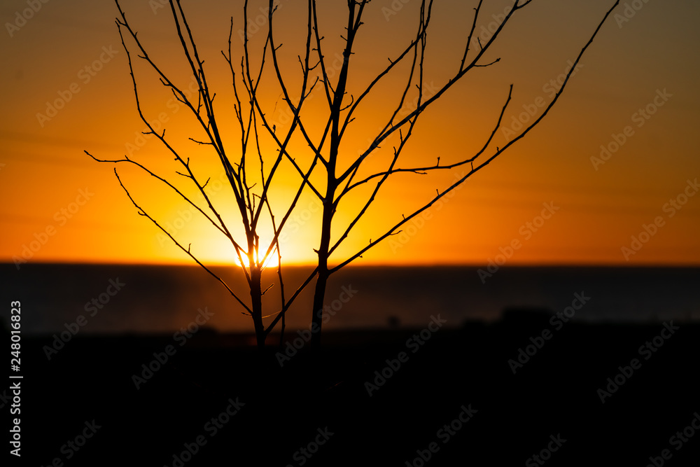 Obraz premium Sunset with reds, yellows, tree against light, in Patagonia, Argentina.