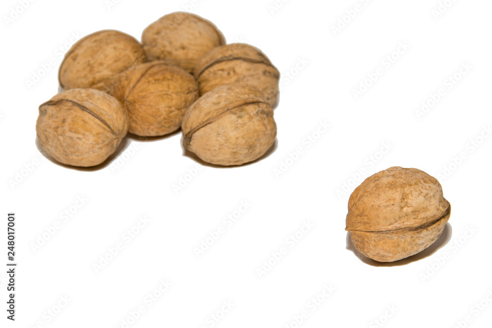 Close-up of walnut. On white background. Isolated. Close-up of walnut. On white background. Isolated.