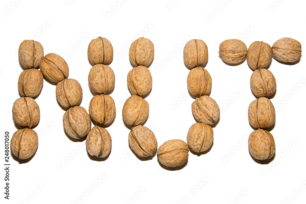 Close-up of walnut. A word made of walnuts. On white background. Isolated. Close-up of walnut. A word made of walnuts. On white background. Isolated.