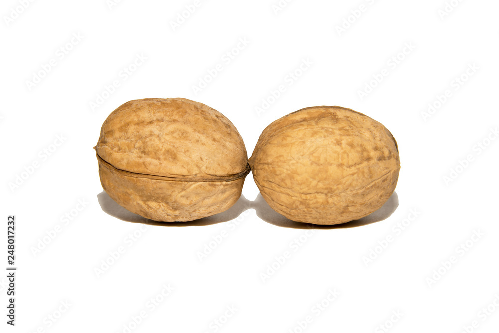 Close-up of walnut. On white background. Isolated. Close-up of walnut. On white background. Isolated.