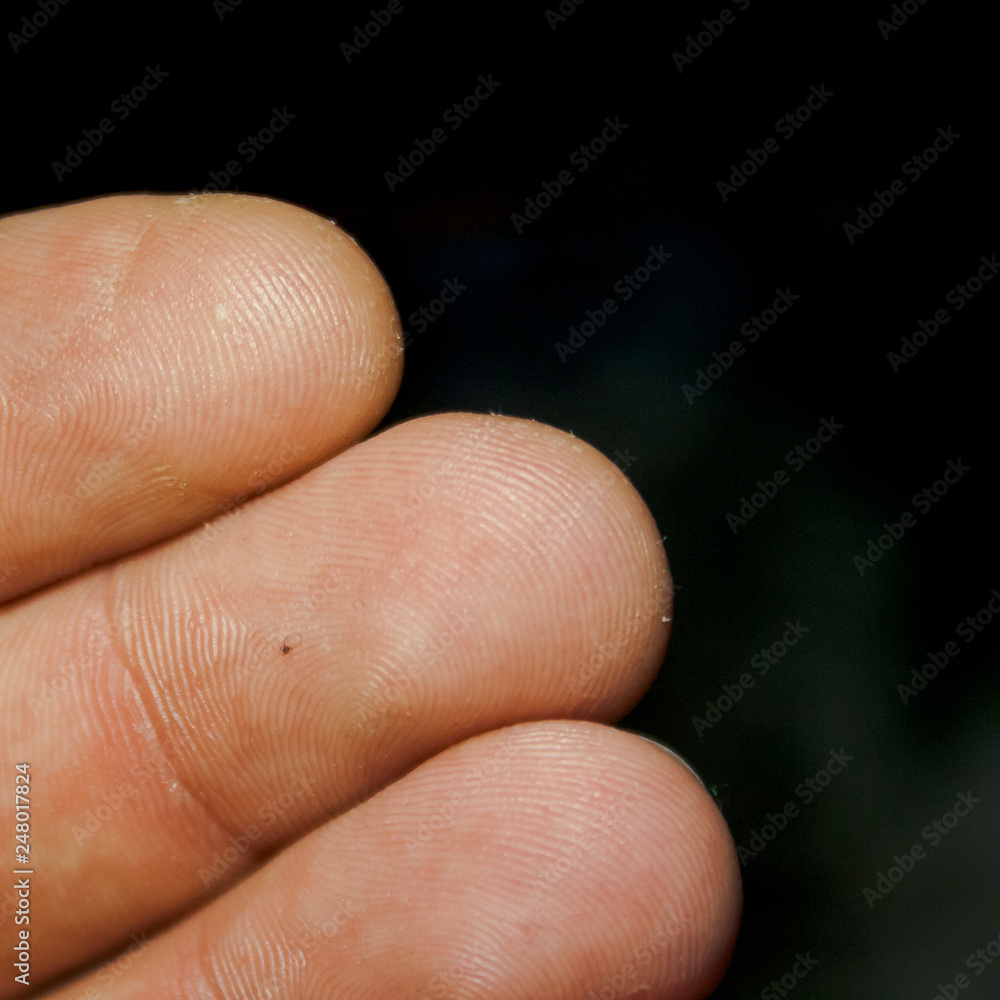 Three human fingers with visible fingerprints on a black background Three human fingers with visible fingerprints on a black background