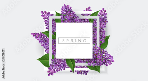 White square frame with purple lilac flower and green leaf. Vector illustration for spring banner design, template for Easter, nature or romantic designs