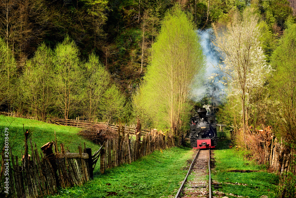 Old Steam train from Maramures county in Romania in spring time