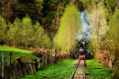 Obraz na płótnie Old Steam train from Maramures county in Romania in spring time w salonie