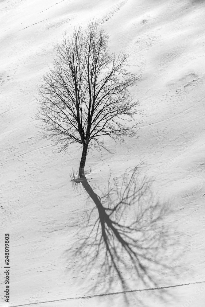 Romania in the Carpathian mountains , landscape from Transylvania in winter time