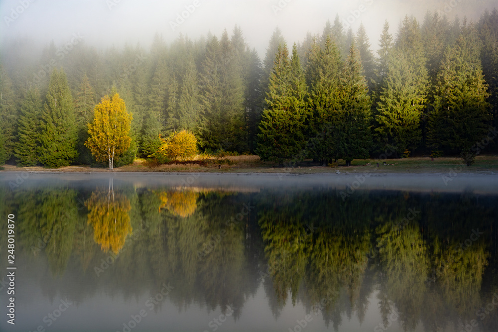 Romania  in the Carpathian mountains , landscape from Transylvania in autumn time 