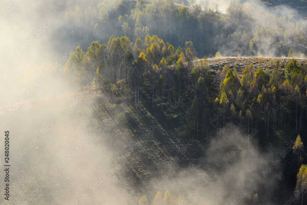 Romania in the Carpathian mountains , landscape from Transylvania in autumn time