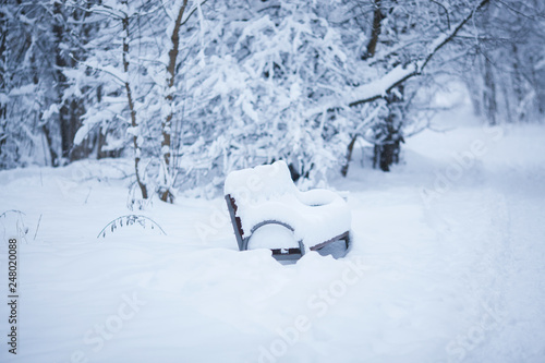 Snowbound bench near the forest