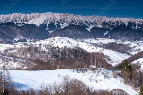 Romania in the Carpathian mountains , landscape from Transylvania in winter time 