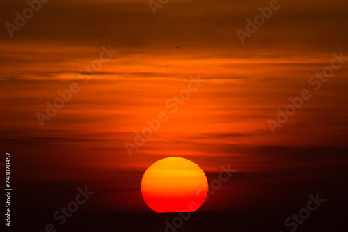 Airplane silhouette in the sunset with red sky and big sun 