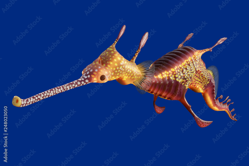Εκτύπωση καμβά 3d rendering of a Weedy seadragon, the ocean creature at Australia and Tasmania island, isolated on blue background with clipping paths