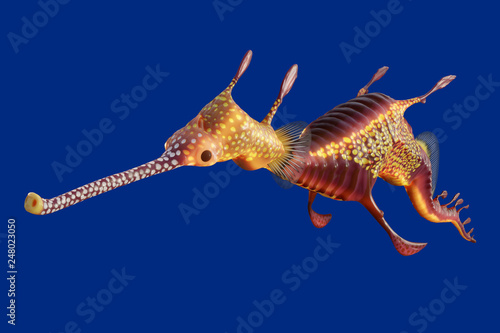 3d rendering of a Weedy seadragon, the ocean creature at Australia and Tasmania island, isolated on blue background with clipping paths. photo