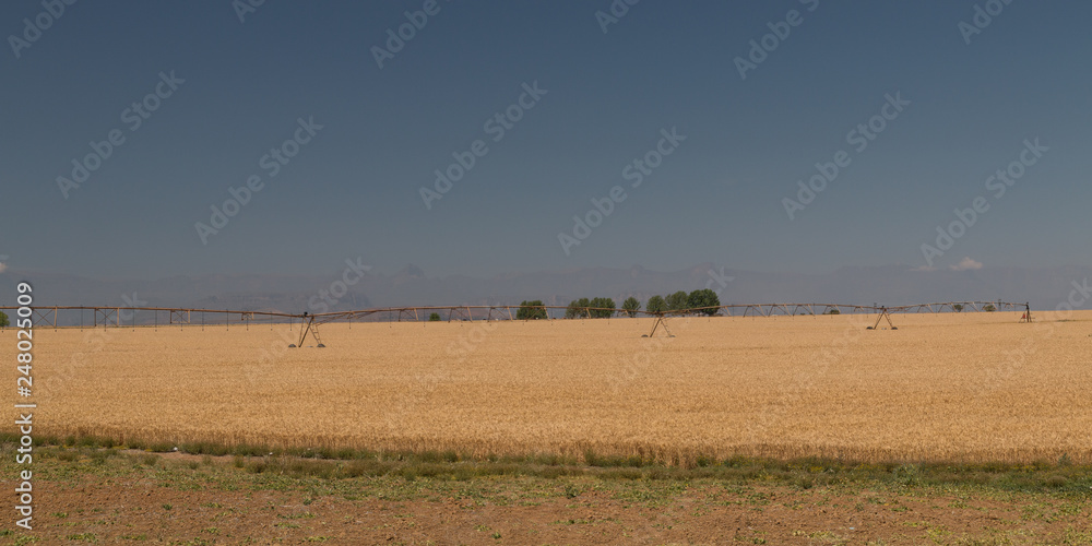Crop field with irrigation system in South Africa