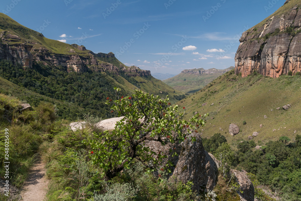 Drakensberg mountains, South Africa