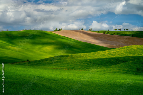 Tuscany green fields and rolling hills  Italy 