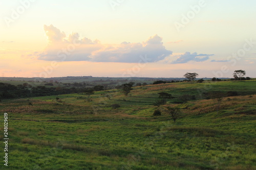 sunset over green field