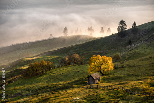 Bucovina landscape in autumn time with mist and sunrise in Romania 