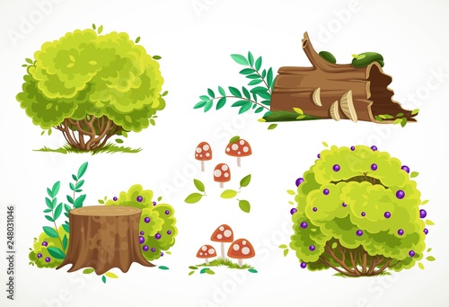 Set of summer green bushes and stumps with fly agarics isolated on white background