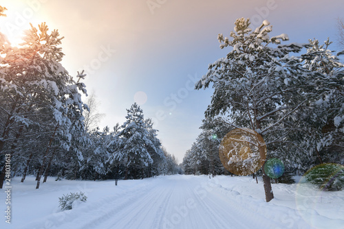 Winter forest and snow-covered road. .