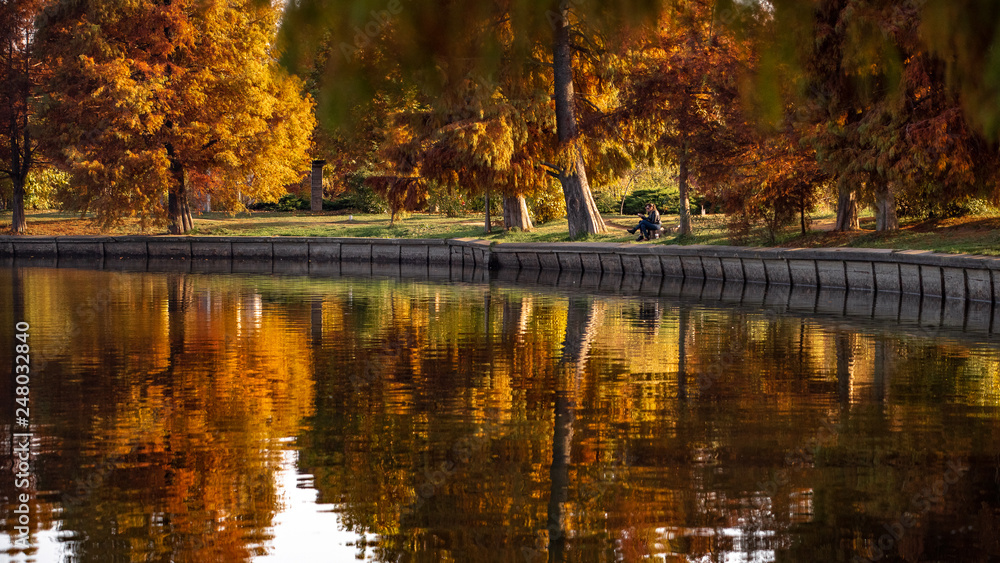 Fototapeta premium Herastrau park in Bucharest , autumn time, Romania 