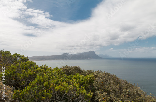 Cape of good hope, South Africa