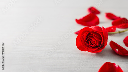 Valentine s Day. Red Rose and Petals on Wooden Background. Flowers composition. Valentines day background. Image