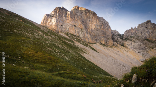 Magie des montagnes