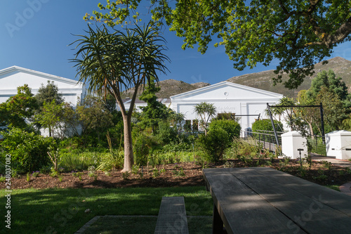 Wine yard with buildings, South Africa