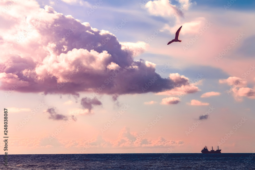 Seagull in the purple sky. Ship at sea. beautiful