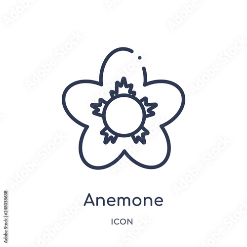 anemone icon from nature outline collection. Thin line anemone icon isolated on white background.