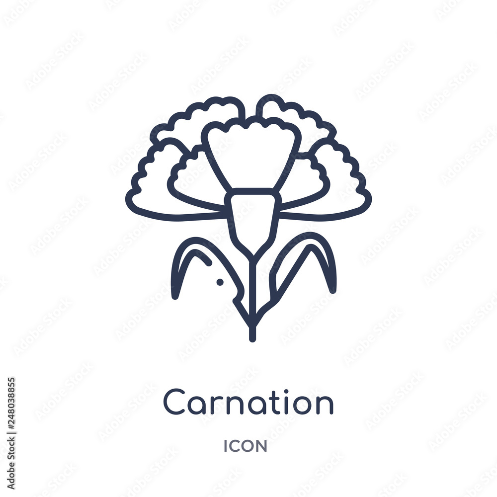 carnation icon from nature outline collection. Thin line carnation icon isolated on white background. carnation icon from nature outline collection. Thin line carnation icon isolated on white background.