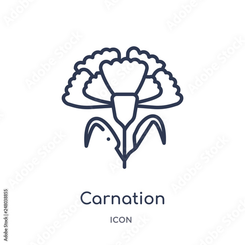 carnation icon from nature outline collection. Thin line carnation icon isolated on white background.