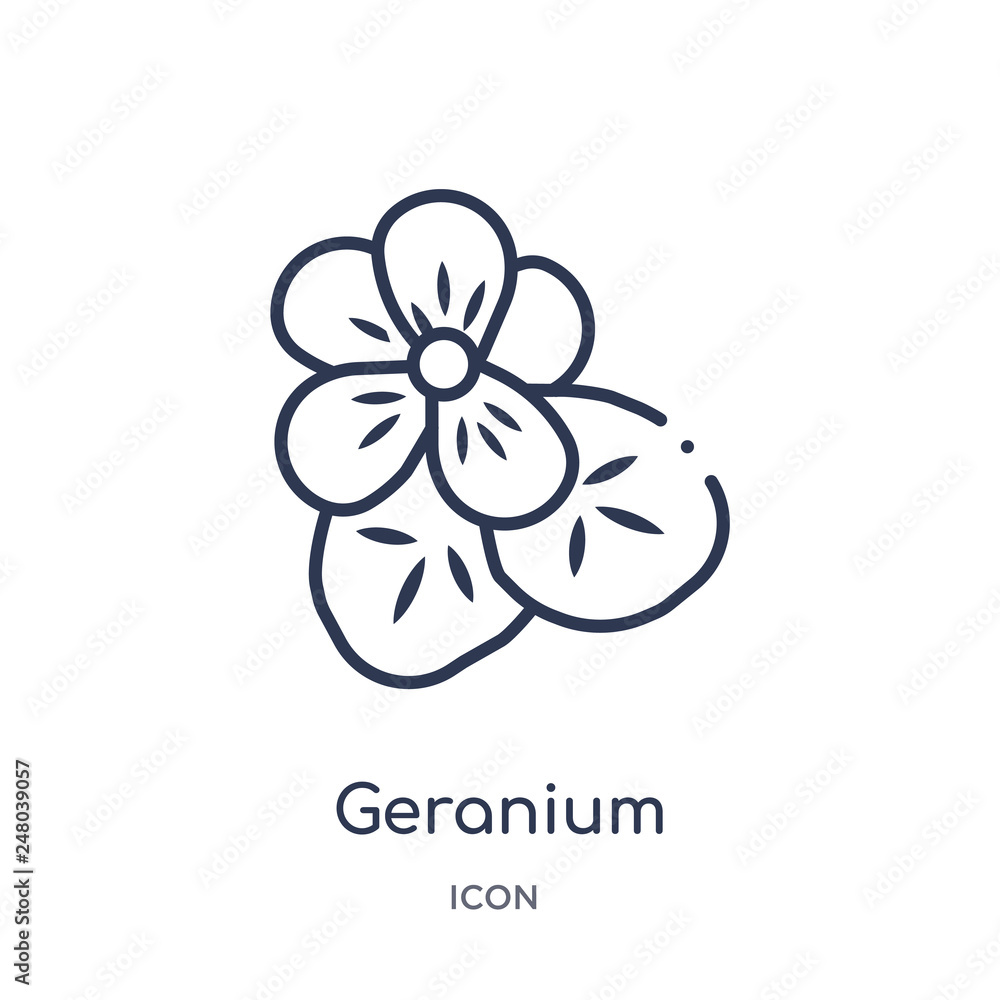 geranium icon from nature outline collection. Thin line geranium icon isolated on white background.