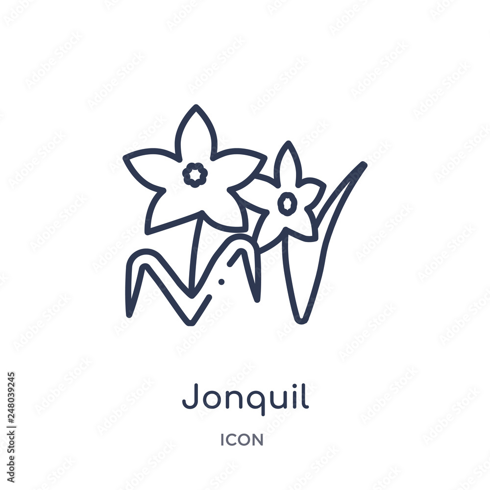 jonquil icon from nature outline collection. Thin line jonquil icon isolated on white background. jonquil icon from nature outline collection. Thin line jonquil icon isolated on white background.
