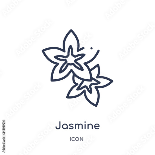 jasmine icon from nature outline collection. Thin line jasmine icon isolated on white background.