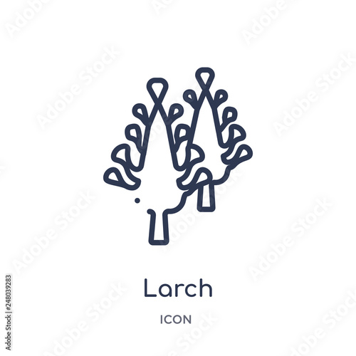 larch icon from nature outline collection. Thin line larch icon isolated on white background.