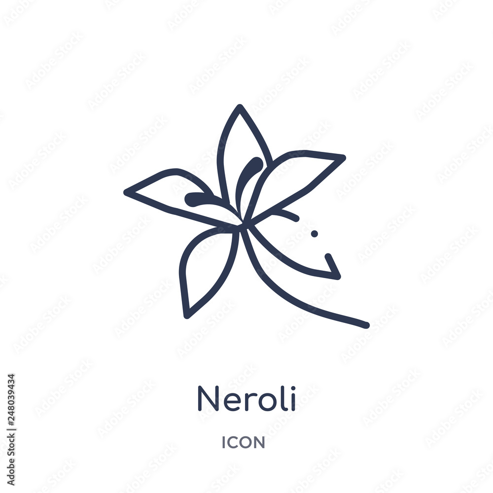 neroli icon from nature outline collection. Thin line neroli icon isolated on white background.