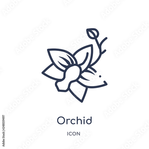 orchid icon from nature outline collection. Thin line orchid icon isolated on white background.