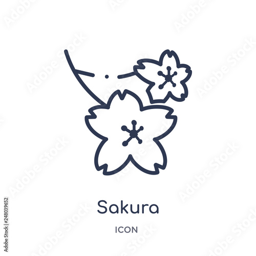 sakura icon from nature outline collection. Thin line sakura icon isolated on white background.