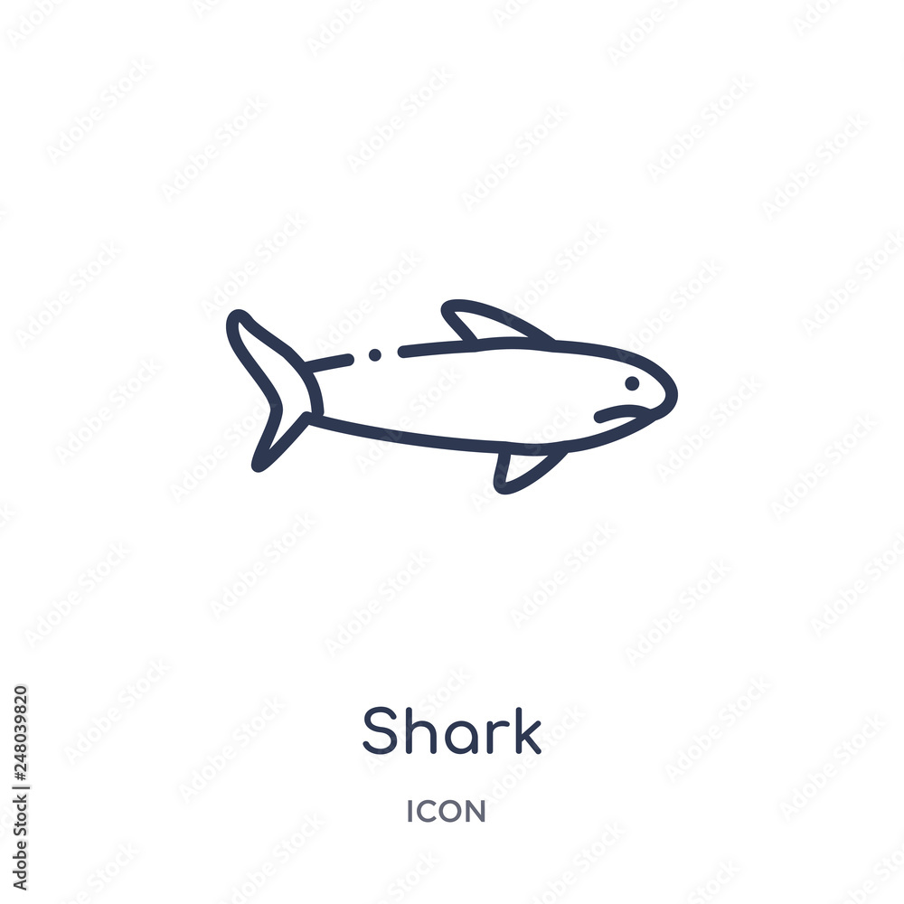 shark icon from nautical outline collection. Thin line shark icon isolated on white background.