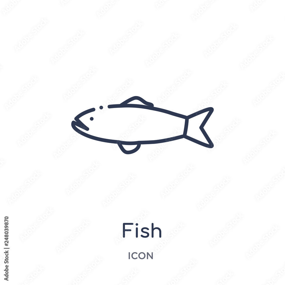 fish icon from nautical outline collection. Thin line fish icon isolated on white background.