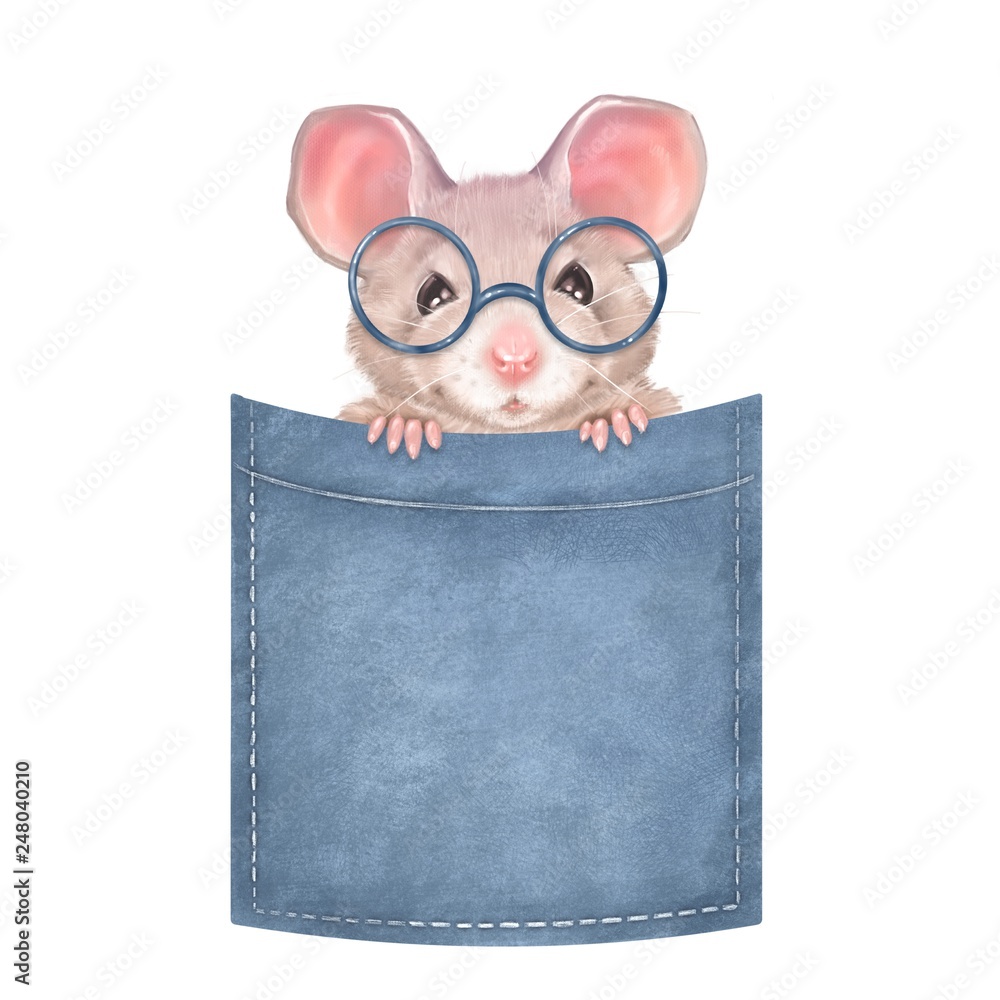 Fotografie Cute mouse on pocket. Isolated on white background