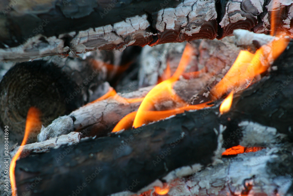 fire in nature . Bonfire in the forest fire in nature . Bonfire in the forest