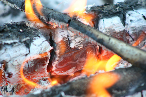 fire in nature . Bonfire in the forest