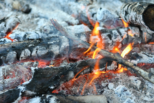 fire in nature . Bonfire in the forest