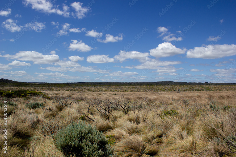 flat grassland landscape with white clouds, Great Ocean Road, Australia