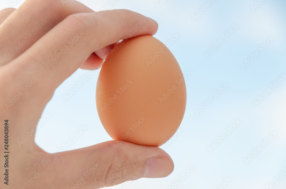 Egg in hand at the background of the sky Egg in hand at the background of the sky